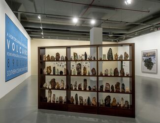TILL IT’S GONE: An Exhibition on Nature and Sustainability, installation view