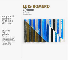 Luis Romero: C(r)udo (2018), installation view