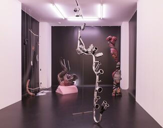 Diego Bianchi, 'Soft Realism', installation view