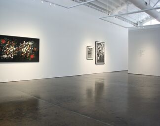 "Really?", installation view