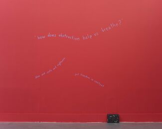 Sonia Louise Davis, Refusal to Coalesce, installation view