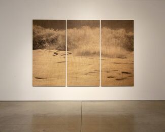 Clifford Ross: Wood Waves, installation view
