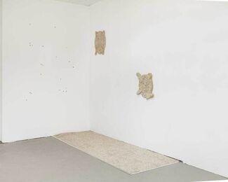 High Density, Oblique Function, installation view
