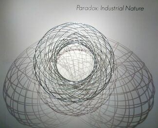 Paradox: Industrial Nature, installation view