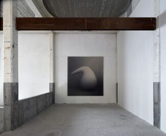 Marco Tirelli, installation view