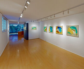 Shapes and Shades, installation view