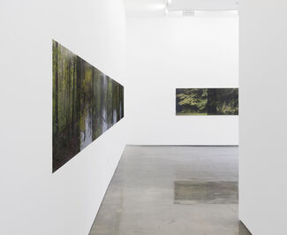 Stephen Berens: From There to Here, installation view