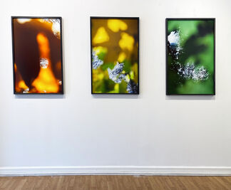Susan Wides | and something happens to the light, installation view