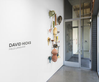 Dave Hicks: Field Language, installation view