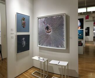 Connect Contemporary at Affordable Art Fair New York Fall 2017, installation view