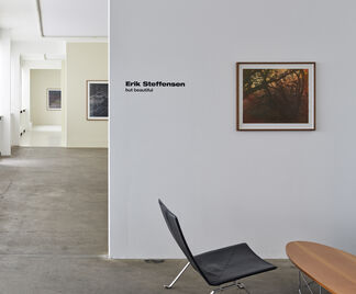 Erik Steffensen // but beautiful, installation view