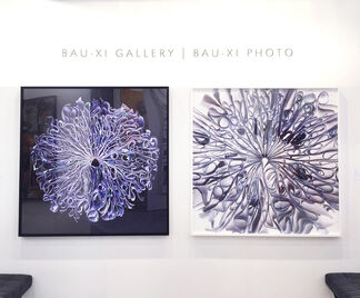 Bau-Xi Artists | Whiteout, installation view