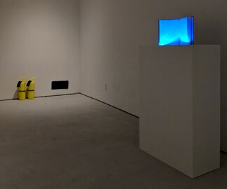 Jeanne Silverthorne, installation view