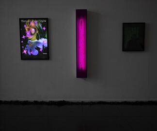Night Mirror, installation view