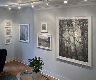 Mary Reilly: Nature of Vermont, installation view