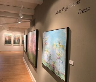 Trees, installation view