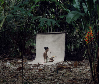 Paradise Found - East Indies Series by Fred Stichnoth, installation view
