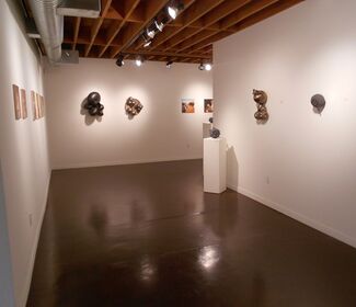 "Bunch" by Kris Lyons, "Back and Forth" by Mark Boguski, and "Others" by Patrick Marasso, installation view