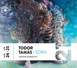 Todor Tamás: SORA, installation view
