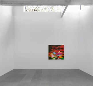 Harold Ancart — The Charm..., installation view