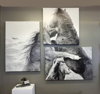 Exposure Photography Festival, installation view