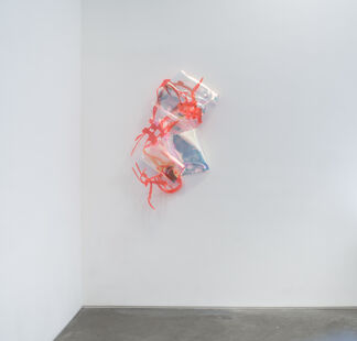 Berta Fischer, installation view