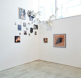 Look up here, I'm in heaven, installation view