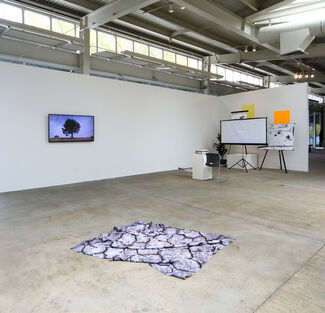 Tongue-in-Cheek, installation view