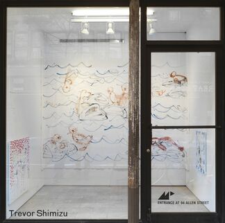 Trevor Shimizu, installation view