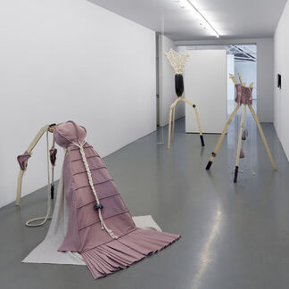 Mercedes Azpilicueta - The Captive, installation view