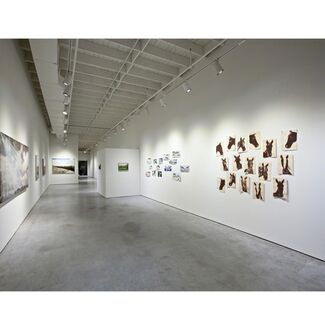 Joe Andoe- Grand Lakes, installation view