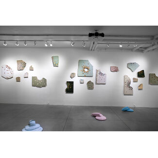 Soft Corps, installation view