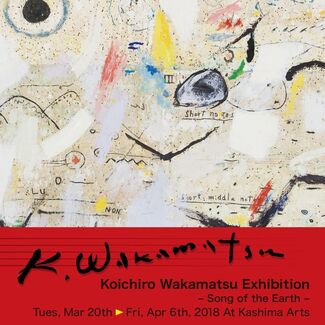 Koichiro Wakamatsu - Song of the Earth -, installation view
