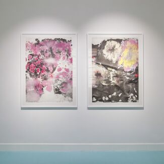 Feng Chen Solo Show, installation view