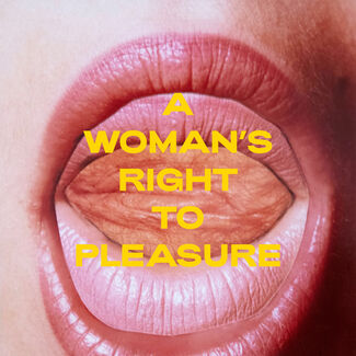 A WOMAN’S RIGHT TO PLEASURE, installation view