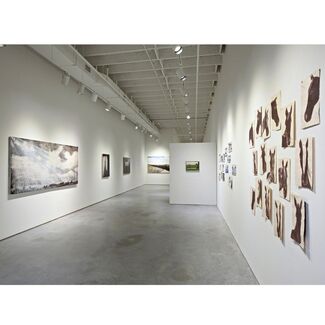 Joe Andoe- Grand Lakes, installation view