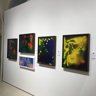 Duran Mashaal at Photo London 2018, installation view