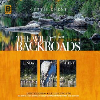 The Wild Backroads, installation view