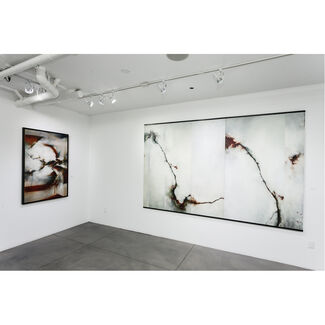 The Loss of So Many, installation view