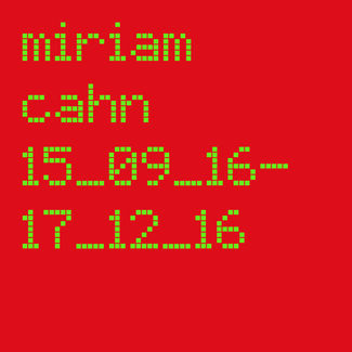 Miriam Cahn, installation view