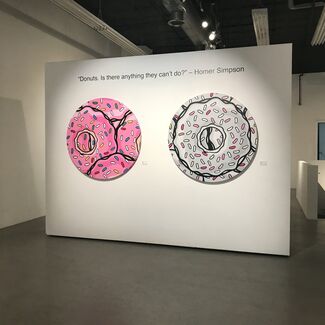 'Donuts' by Jerkface, installation view