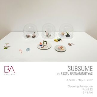 Subsume, installation view
