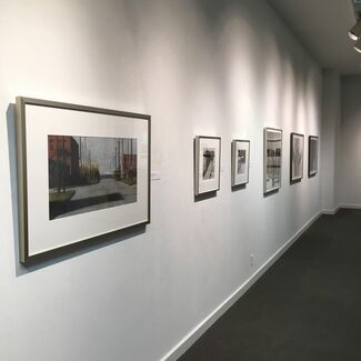 Surface, installation view