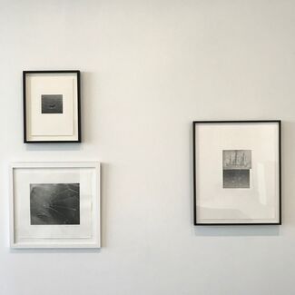 Vija Celmins and Brice Marden - Prints, installation view