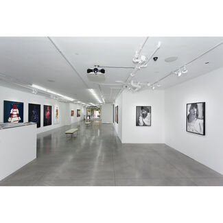 The Absorbed Tradition, installation view