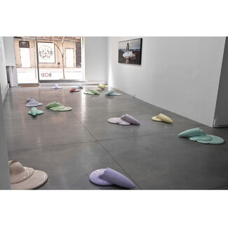 Soft Corps, installation view