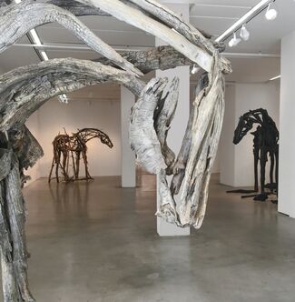 Deborah Butterfield, installation view