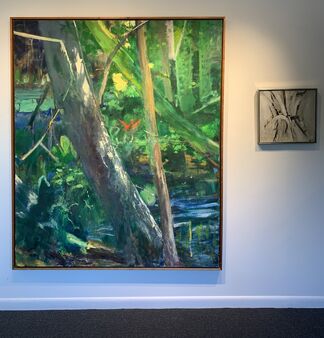 DON BEAL, installation view