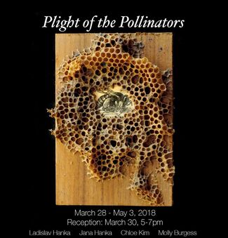 Plight of the Pollinators, installation view