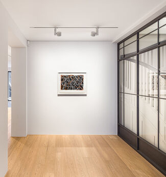 Brice Marden - Prints and Works on Paper, installation view